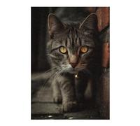 Puzzle pour Adultes avec Motif Curious Street Cat, Format 300 PCS