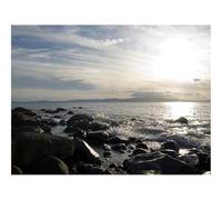 Puzzle pour Adultes De 1000 Pièces, Jouets de Jeu Difficile-Pierres,Côte,Mer,Murmure,Jour 70x50cm