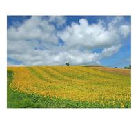 Puzzle pour Adultes De 1000 Pièces, Puzzle De Décoration-Domaine,Culture,économie 70x50cm