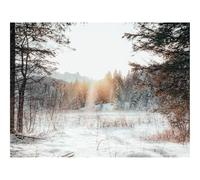 Puzzle pour Adultes De 1000 Pièces, Puzzle De Décoration-forêts,lisière,Neige 70x50cm
