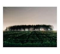 Puzzle pour Adultes De 1500 Pièces, Jouets de Jeu Difficile-Champ,Arbres,étoiles,Pose Longue 87x57cm