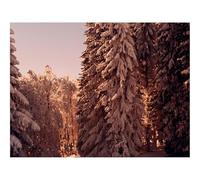 Puzzle pour Adultes De 1500 Pièces, Jouets de Jeu Difficile-forêts,pins,Arbres 87x57cm
