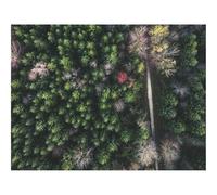 Puzzle pour Adultes De 1500 Pièces, Jouets de Jeu Difficile-forêts,Route,Vue aérienne 87x57cm