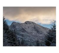 Puzzle pour Adultes De 1500 Pièces, Jouets de Jeu Difficile-Montagnes,Arbres,Chemin,Neige,Nature 87x57cm