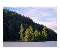 Puzzle pour Adultes De 1500 Pièces, Puzzle De Décoration-forêts,Arbres,lac,île,Paysage 87x57cm