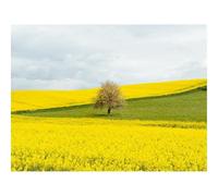 Puzzle pour Adultes de 1500 Pièces, Puzzle Impossible-Fleurs,Champ,Arbre 87x57cm