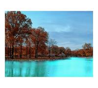 Puzzle pour Adultes De 500 Pièces, Jouets de Jeu Difficile-Automne,Parc,Arbres 52x38cm