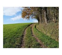 Puzzle pour Adultes De 500 Pièces, Jouets de Jeu Difficile-Champ,Chemin,Virage 52x38cm