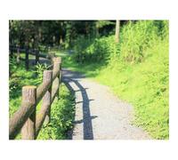 Puzzle pour Adultes De 500 Pièces, Jouets de Jeu Difficile-Clôture,Chemin,Arbres 52x38cm