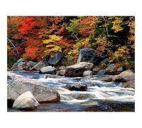 Puzzle pour Adultes De 500 Pièces, Jouets de Jeu Difficile-Déclin,Orange,Contours 52x38cm