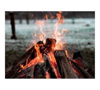 Puzzle pour Adultes De 500 Pièces, Jouets de Jeu Difficile-Feu de Joie,feu,Bois 52x38cm