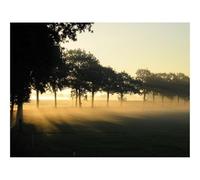 Puzzle pour Adultes De 500 Pièces, Jouets de Jeu Difficile-Jardin,Aube,Contours 52x38cm