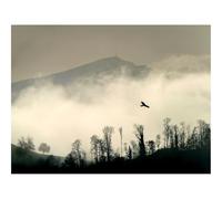 Puzzle pour Adultes De 500 Pièces, Jouets de Jeu Difficile-Oiseau,Silhouette,Montagne 52x38cm