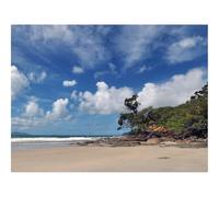 Puzzle pour Adultes De 500 Pièces, Jouets de Jeu Difficile-Plage,Arbres,Sable 52x38cm