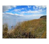 Puzzle pour Adultes De 500 Pièces, Jouets de Jeu Difficile-Rivage,Herbe,Mer,Paysage,Nature 52x38cm