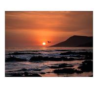 Puzzle pour Adultes De 500 Pièces, Puzzle De Décoration-Coucher de Soleil,Horizon,Rochers,Mer,Oiseaux 52x38cm