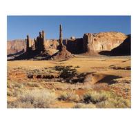 Puzzle pour Adultes de 500 Pièces, Puzzle Impossible-Canyons,végétation,Sable 52x38cm