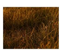 Puzzle pour Adultes de 500 Pièces, Puzzle Impossible-Graminées,Feuilles,Plantes,Vert 52x38cm