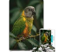Puzzle pour Adultes, Motif Brown and Green Parrot, 300 PCS