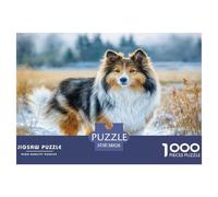 Puzzle pour Adultes représentant Un Adorable Chien de Berger des Shetland dans Un Champ aride. Cadeau Amusant et activité pour décorer Les Murs de la Maison. 38x26 cm/1000pcs.