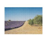 Puzzle pour Adultes38x26cm/1000pcs Provence Landscape Puzzles pour Adultes - Jeux De Détente - Défi Difficile - Idéal comme Cadeau pour Toute La Famille 38x26cm/1000pcs