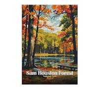 Puzzle pour Adultes38x26cm/1000pcs Sam Houston Forest National Park Puzzle pour Adultes, Jeu De Réflexion pour Améliorer La Mémoire, Cadeau d'anniversaire, Présents, 38x26cm/1000pcs