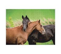 Puzzle pour Adultes52x38cm/1000pcs Two Horses in Pasture Puzzle pour Adultes, Jeu De Réflexion, Découpe De Précision, Idéal comme Cadeau pour Toute La Famille 52x38cm/1000pcs