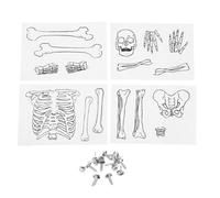 Puzzle Pour Enfants, Jouet De Bricolage, Modèle De Squelette Humain, Apprentissage Précoce