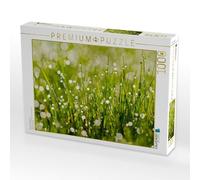 Puzzle · Prairie Couverte de rosée matinale | Le monde scintillant · 1000 pièces · Format assemblé 64 × 48 cm · CALVENDO Puzzle