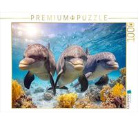 CALVENDO Puzzle Profiter du Monde sous-Marin | 1000 pièces de Taille 64 x 48 cm Puzzle Photo pour des Heures heureuses