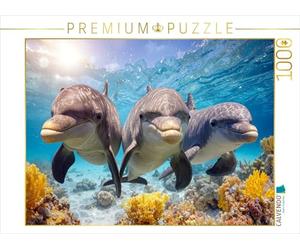 Puzzle · Profiter du Monde sous-Marin