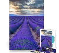 Puzzle Provence France pour Adolescents 1000 pièces Améliore la mémoire Loisirs à la Maison Bords précis Cadeau Exquis 38x26cm