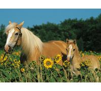 Puzzle Puzzle 200 P Xxl - Mon Cheval