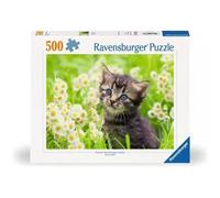 Ravensburger – Puzzle 500 pièces – Chaton dans la prairie – Adultes et enfants à partir de 12 ans