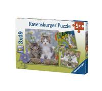 PUZZLE Puzzles 3x49 p - Chatons tigrés
