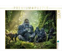Puzzle · Quand la forêt murmure et qu'un Gorille Lui répond | Gorilles de montagne · 1000 pièces · Format assemblé 64 × 48 cm · CALVENDO Puzzle