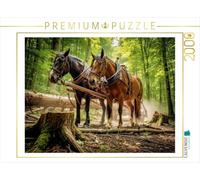 Puzzle · Quand Les Choses se compliquent Vraiment, on connaît quelqu’Un Qui | peut nous aider · Des chevaux de trait en action · 2000 pièces · Format assemblé 90 × 67 cm · CALVENDO Puzzle