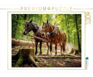 Puzzle · Quand Les Choses se compliquent Vraiment, on connaît quelqu’Un Qui | peut nous aider · Des chevaux de trait en action · 1000 pièces · Format assemblé 64 × 48 cm · CALVENDO Puzzle