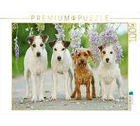 Puzzle · Quatre Amis | sous la pluie bleue · 1000 pièces · Format assemblé 64 × 48 cm · CALVENDO Puzzle