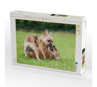 Puzzle · Qui est Le Plus Fort | 1000 pièces · Format assemblé 64 × 48 cm · CALVENDO Puzzle