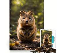 Puzzle Quokka Animal Difficile pour Adultes 1000 Pièces Jeu de Réflexion Calme et Relaxant Cadeau Spécial (50x75cm)