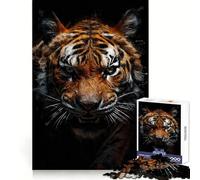 Puzzle Rage in The Shadows pour Adolescents, 1000 pièces, Collection Recall Upgrade Calm Relax Clear Cut Art (50x75cm)