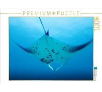 Puzzle · Raie Manta en Approche | L'élégant planeur de mer · 1000 pièces · Format assemblé 64 × 48 cm · CALVENDO Puzzle