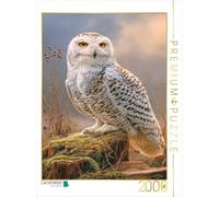 Puzzle · rapaces | Chouette des neiges · 2000 pièces · Format assemblé 90 × 67 cm · CALVENDO Puzzle