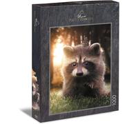 Puzzle « Raton Laveur Cherche Un Ami » - Motif Animal Adorable Comme Puzzle De 1000 Pièces - Le Joli Petit Raton Laveur Abrite Un Papillon Et Lui Donne Une Sensation Chaleureuse