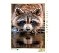 Puzzle · Raton Laveur - Petite Pause pour Boire | Reflet de la nature · 1000 pièces · Format assemblé 64 × 48 cm · CALVENDO Puzzle