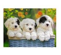 Puzzle 200 Pièces Pièces Xxl - Chiots En Peluche