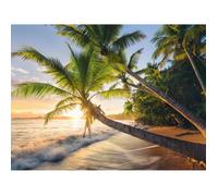 Ravensburger Puzzle 1500 pièces – Plage secrète – 80×60 cm – Adultes et enfants dès 14 ans