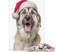 Puzzle rectangulaire en Papier représentant Un Berger d'Anatolie avec Un Bonnet de Père Noël, idéal pour Les Cadeaux de Noël, 1 000 pièces (75 x 50 cm)