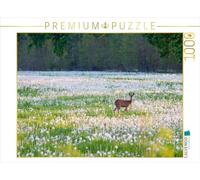 Puzzle · Repos | Photo d'un chevreuil blessé dans un champ de pissenlits · 1000 pièces · Format assemblé 64 × 48 cm · CALVENDO Puzzle